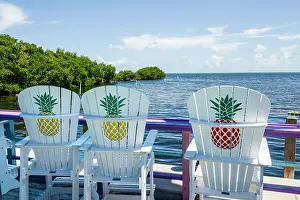 Pineapple Prints: Florida Upper Key Largo Florida Keys