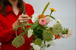 Floral Design Prints: Florist wearing a red shirt carefully trimming stems and arranging a vibrant bouquet of various flowers