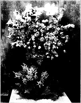 Booksubjectfloriculture Prints: Florists review [microform]. Floriculture