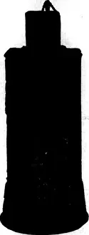 Bookyear1912 Prints: Florists review [microform]. Floriculture
