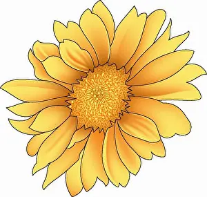 Botanical Illustration Prints: flower bunch textile print work