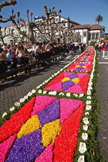 Ponta Delgada Prints: Flower carpets made from artificially colored wood shavings