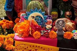 Flower and skeleton dog, cat and bird alter at Dia de los Muertos, Day of the dead, in Los Angeles at the Hollywood Forever Ceme