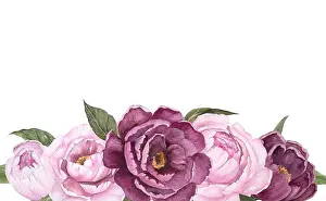 Peony Prints: Flower watercolor illustration of peonies isolated, bouquet of flowers, horizontal banner