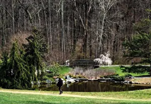 Woodlands Prints: Flowering trees in front of a lakeside house