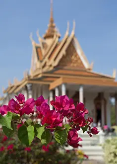 Phnom Prints: Flowers in the garden of the Royal Palace in Phnom Penh, Cambodia