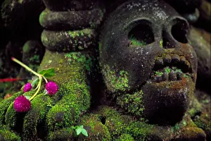 Contemplative Prints: Flowers on skull rock statue in Ubud Bali Indonesia 2005