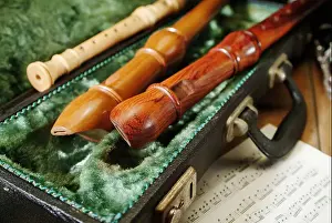 Musical Instruments Prints: Flutes with different grades