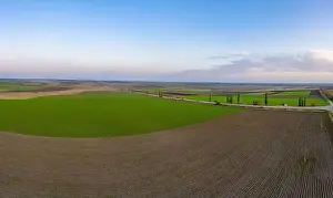 Wheat Field Prints: Flying over a field of growing wheat. Aerial panoramic drone shot