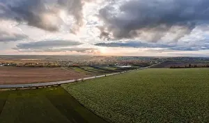 Wheat Field Prints: Flying over a field of growing wheat. Aerial panoramic drone shot