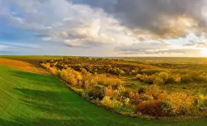 Beds Prints: Flying over a field of growing wheat. Aerial panoramic drone shot