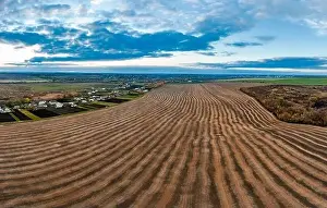 Beds Prints: Flying over a field of growing wheat. Aerial panoramic drone shot
