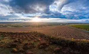 Beds Prints: Flying over a field of growing wheat. Aerial panoramic drone shot