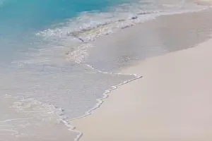 Foam wave, running on the sandy shore. Wave on sand beach, tranquil tropical nature pattern, sea ocean water on coast