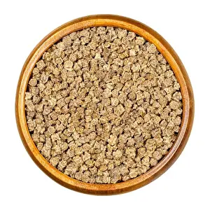 Vulgaris Prints: Fodder beet seeds in wooden bowl