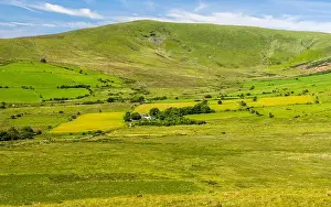 Fields Prints: Foel Cwmcerwyn in the Preseli Hills of North Pembrokeshire in west Wales on a sunny summer day