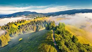 Foggy morning scene of Stebnyi village outskirts