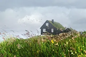 Foggy morning view of a house with typical turf-top grass roof and blue cloudy sky in the Velbastadur village on Streymoy island, Faroe islands