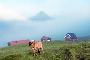 Foggy morning view of a houses with red roof in the Velbastadur village on Streymoy island, Faroe islands, Denmark. Landscape photography