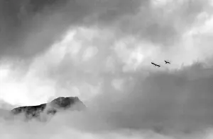 Forest View Prints: Foggy rainy day in Salzkammergut, Austria