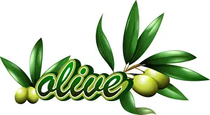 Flashcard Prints: Font design for word olive