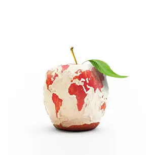 Light Bulb Prints: Food miles, conceptual artwork