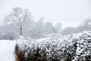 Snowfall Prints: Footpath running down a field towards a pond