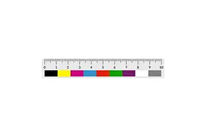 Evidence Prints: Forensic or police ruler with a color swatches