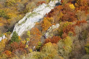 Atmospheres Prints: forest in autumn along river Maas, Belgium, Ardennes, Freyr, Dinant