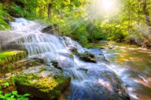 Sunbeams Prints: Forest creek and waterfall