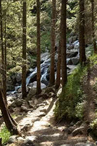 Trekking Prints: Forest hiking trail leading to a cascading mountain waterfall in the Italian Alps