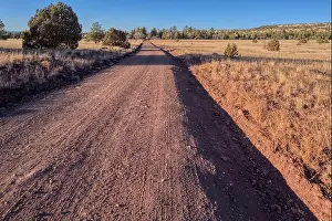 Dirt Prints: Forest Service Road 229 through rural landscape, Coconino National Forest, Arizona, USA