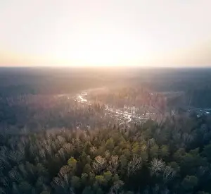 Lietuva Prints: Forest Swamp, Aerial View