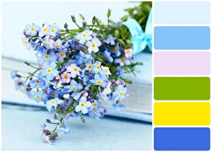Myosotis Prints: Forget-me-nots flowers on book and palette of colors