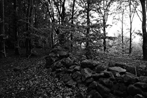 Trees Landscape Prints: Förslöv, Skåne, Sweden. Oktober 9 2024. Hålehall hiking area