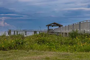 Bird Life Prints: The Fort Desoto Park Gulf Fishing Pier St