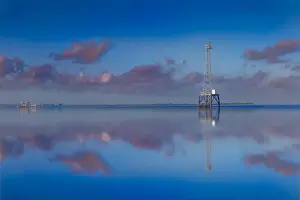 Bird Life Prints: Fort DeSoto Park Pinellas Florida USA