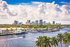 Trees Collection: Fort Lauderdale, Florida, USA skyline