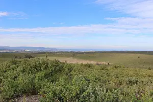Wildlife Refuge Prints: Fort Ord landscape. Fort Ord is home to a rare maritime chaparral community of plant species
