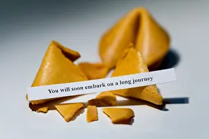 Prediction Prints: Fortune cookies with message reading you will soon embark on a long journey