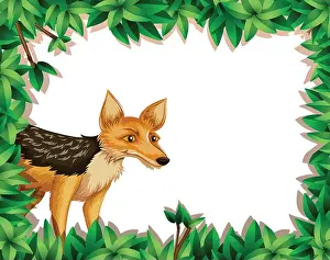 fox in the jungle illustration