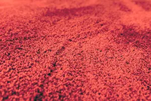 Softness Prints: Fragment of wool carpet close-up