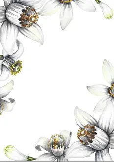 Aromatherapy Prints: Frame with orange flowers. Hand-drawn watercolor illustration