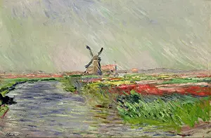 1886 Prints: Français : Dimensions : 81 cm x 54 cm