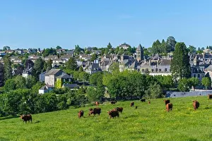 Auvergne Rhone Alpes Prints: France, Cantal, Mauriac, regional natural park volcanoes of Auvergne (Parc naturel r?gional des Volcans d'Auvergne)