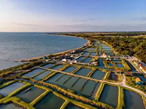 Charente Maritime Prints: France, Charente Maritime, ile d'Oleron