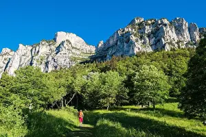 France, Isere, Chartreuse massif, hike to the Aulp du Seuil Cross