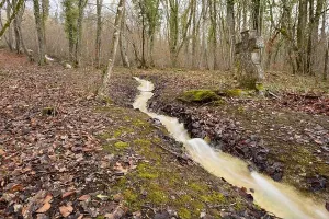 Torrent Prints: France, Meuse, Pagny sur Meuse