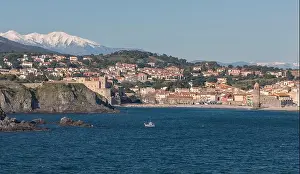Collioure Prints: France, Pyrenees-Orientales, Collioure and the snow-covered Canigou massif