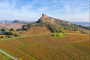 Vine Growing Prints: France, Saone et Loire, Maconnais